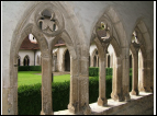 DSC00100.jpg