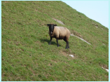 DSCF8478.jpg