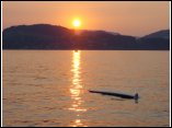 DSC00071.JPG