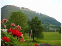 gery_bircher26.jpg