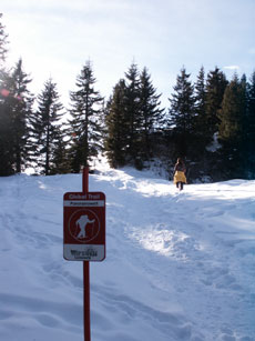 Schneeschuh-Trails