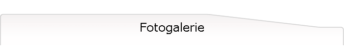 Fotogalerie