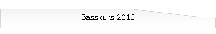 Basskurs 2013