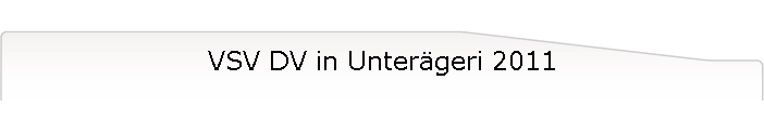 VSV DV in Untergeri 2011